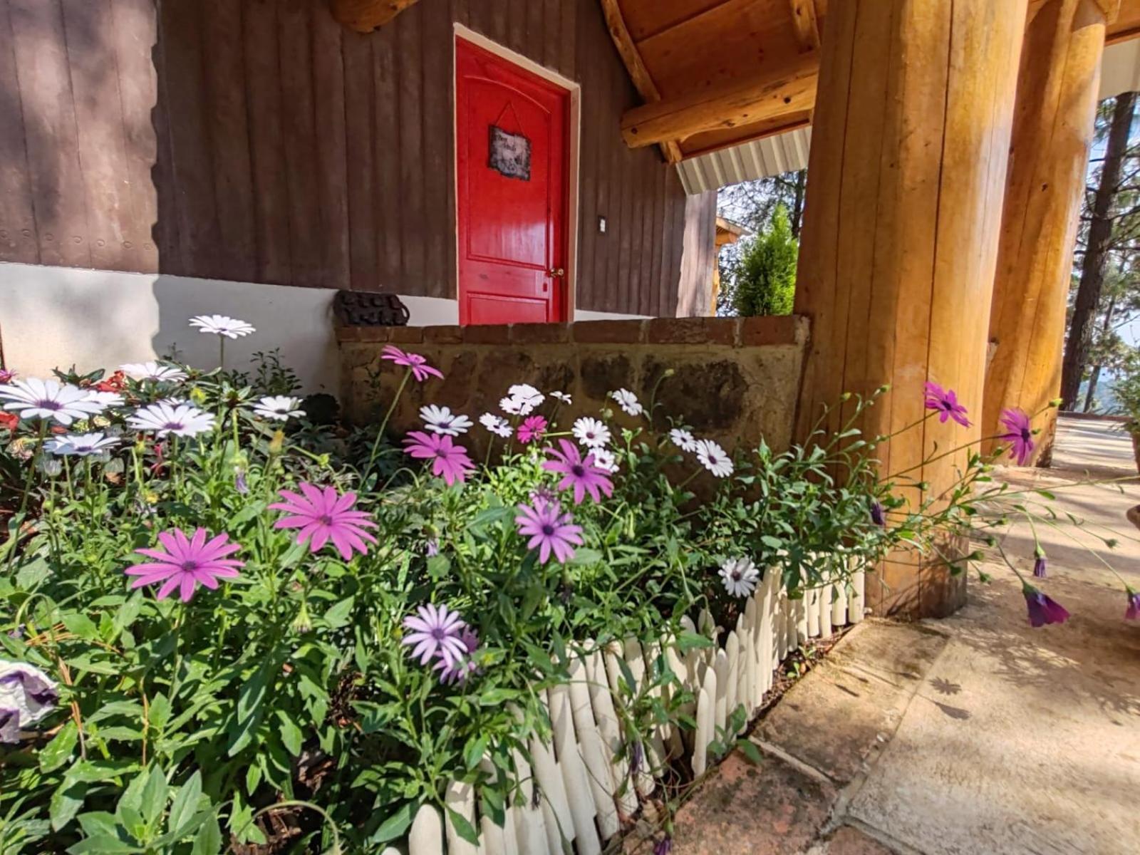 Finca Chuchiya Cabanas Tecpan Tecpán Guatemala Εξωτερικό φωτογραφία